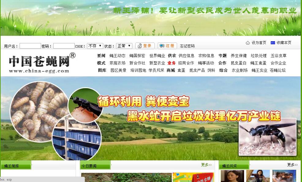 中國蒼蠅網黑水虻網農業網站案例